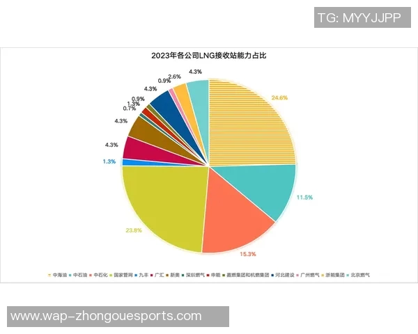 数据分析揭示LNG市场潜力与力量表现的深度研究与洞察