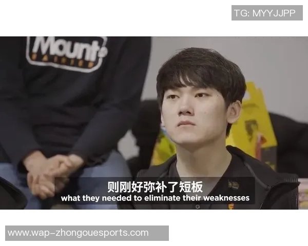 大师赛中FPX团队协作表现分析与评价探讨